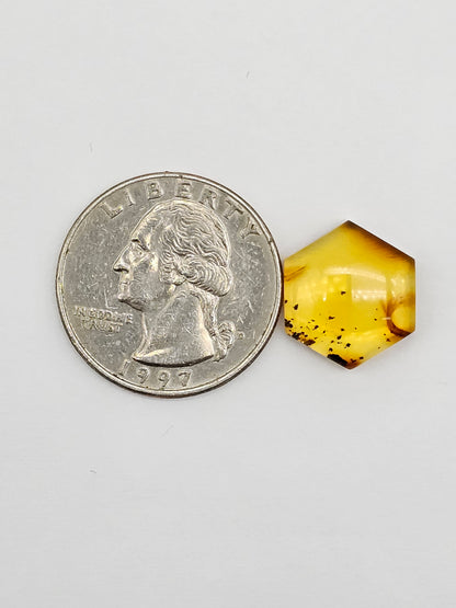Amber Hexagon Cabochon