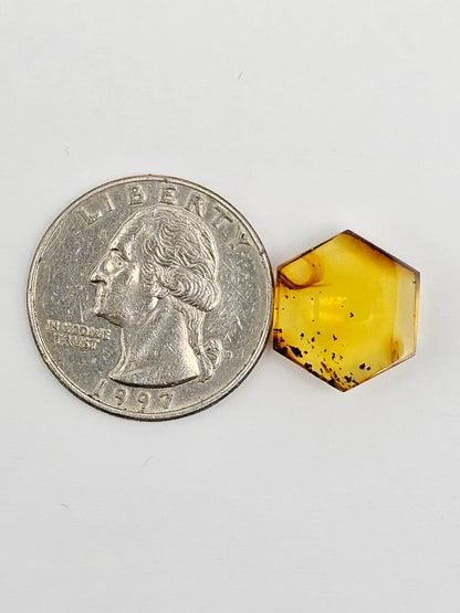 Amber Hexagon Cabochon