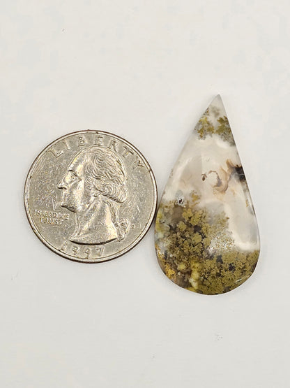 Moss agate cabochon