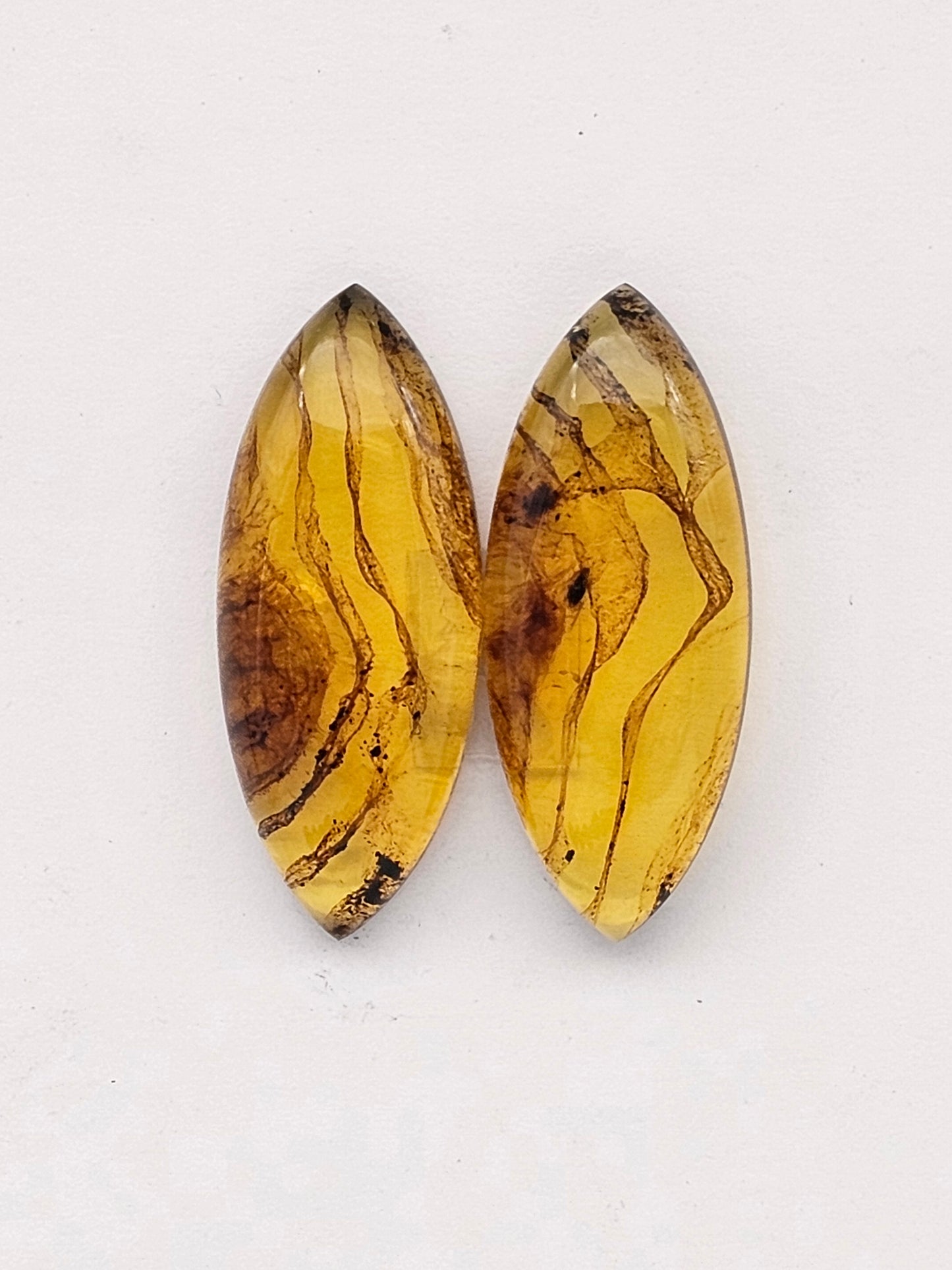 Amber authentic cabochon pair large