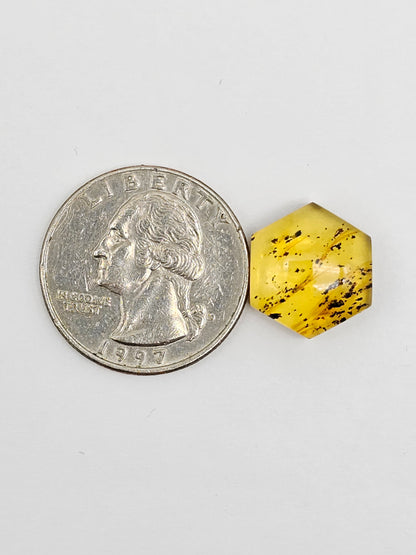 Amber Hexagon Cabochon