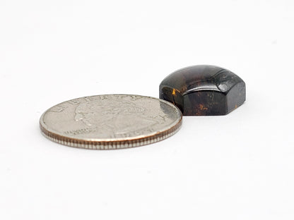 Amber Hexagon Cabochon