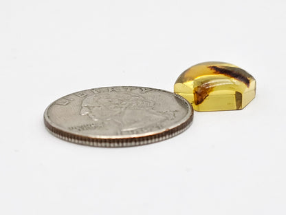 Amber Hexagon Cabochon