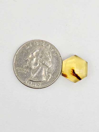 Amber Hexagon Cabochon