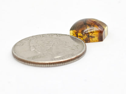 Amber Hexagon Cabochon