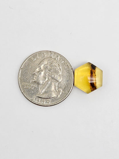 Amber Hexagon Cabochon