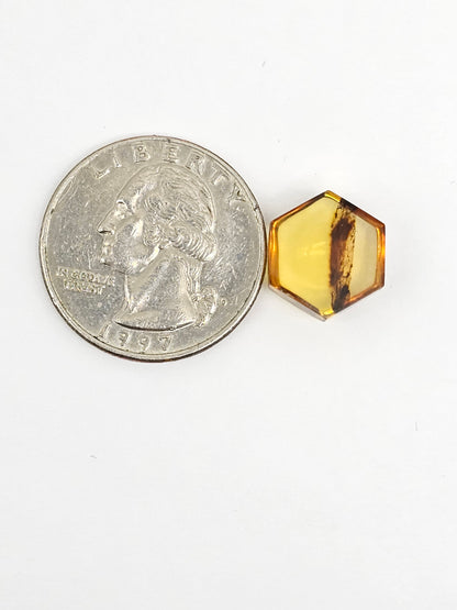 Amber Hexagon Cabochon
