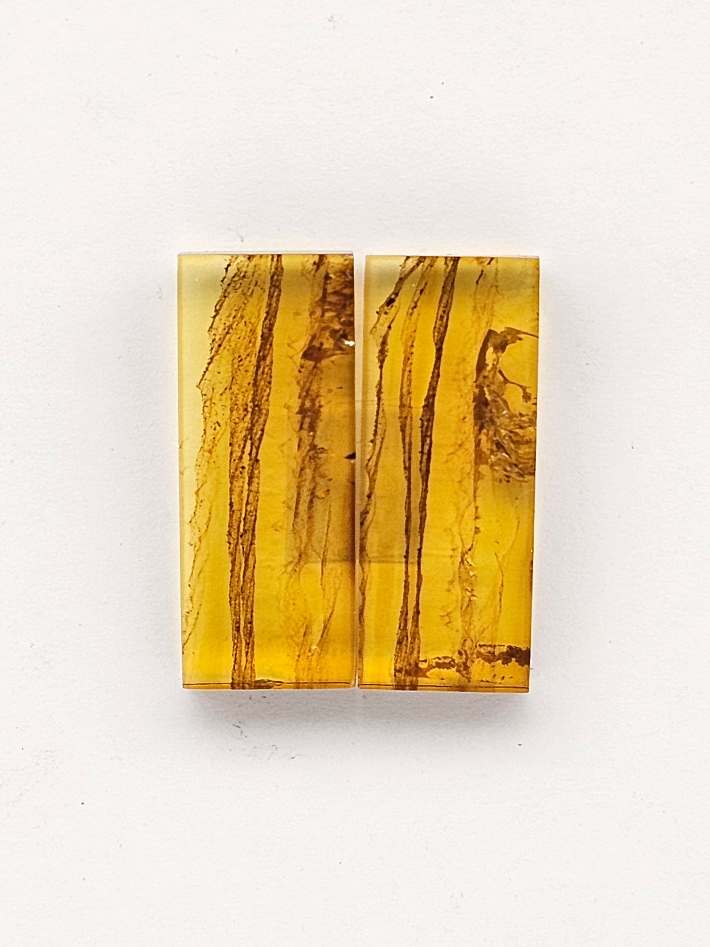 Amber authentic cabochon pair large