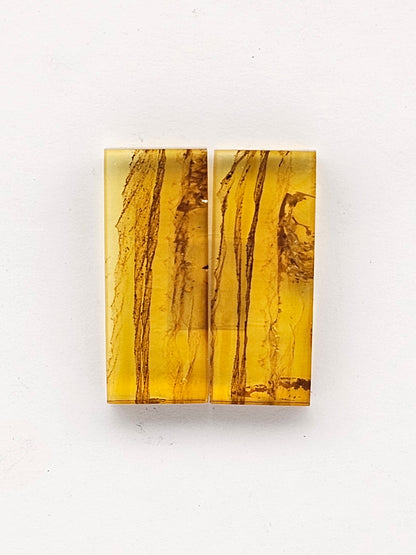 Amber authentic cabochon pair large