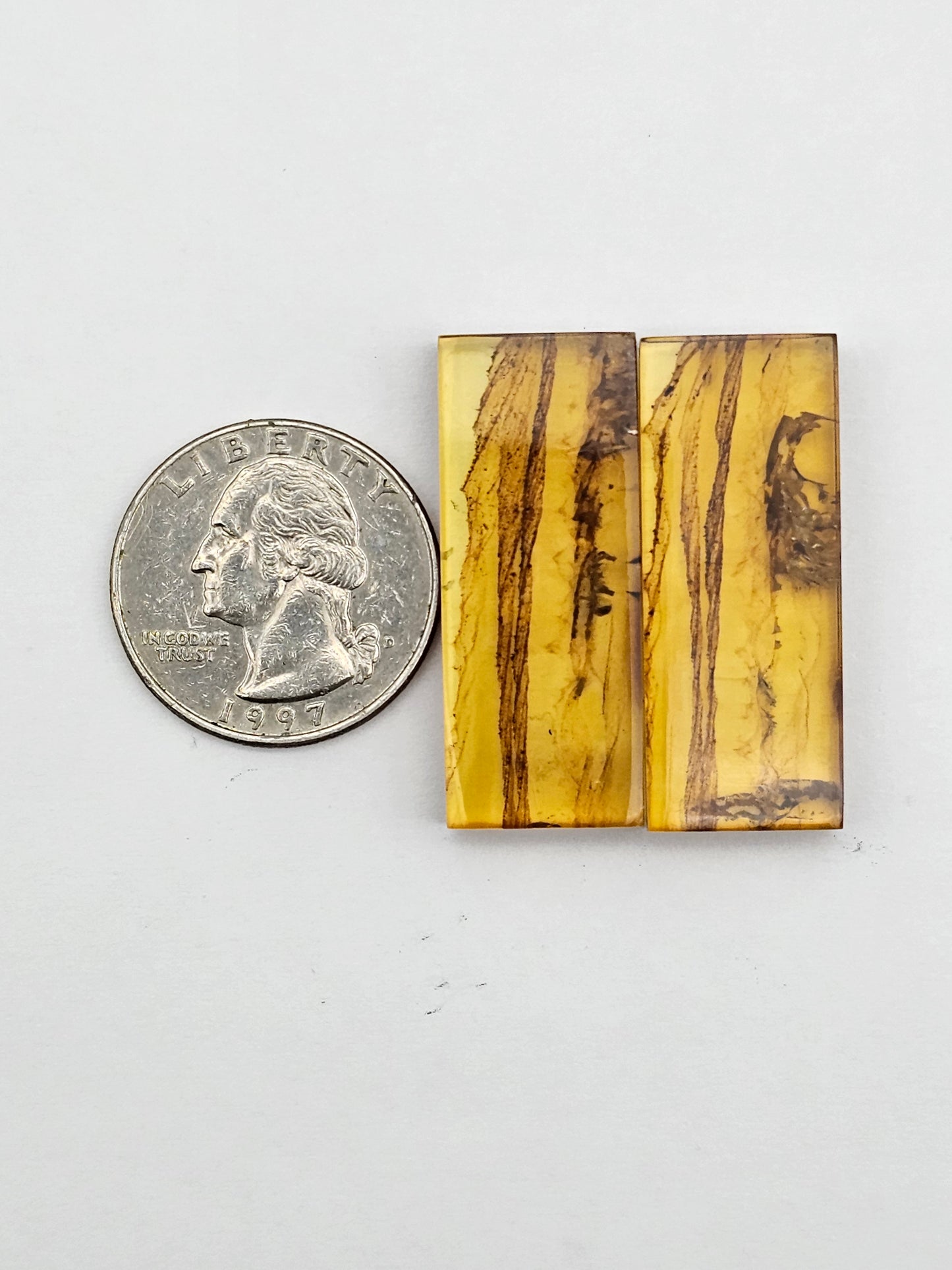 Amber authentic cabochon pair large