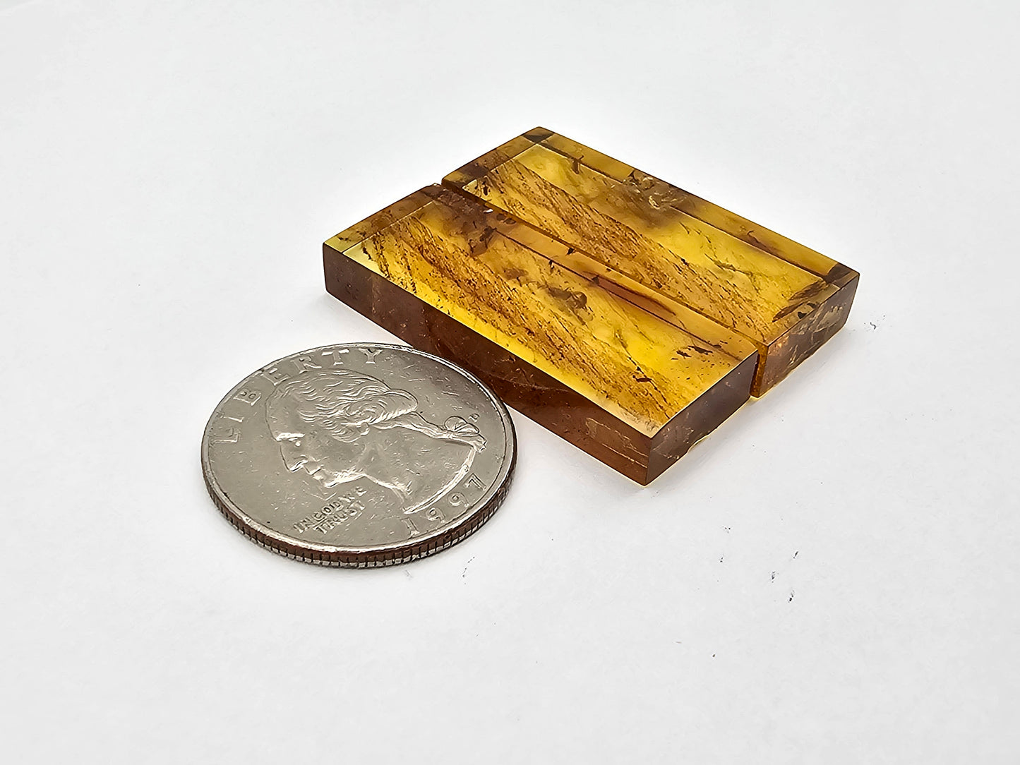 Amber authentic cabochon pair large