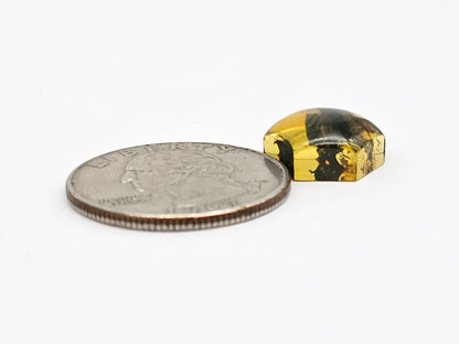 Amber Hexagon Cabochon