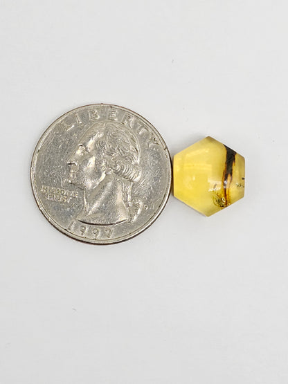 Amber Hexagon Cabochon