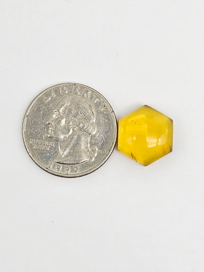 Amber Hexagon Cabochon