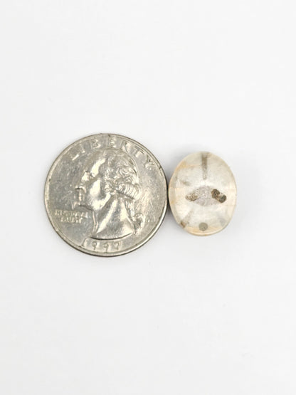 Sea Urchin (Sand Dollar) Fossil Cabochon – Mexican Echinoid