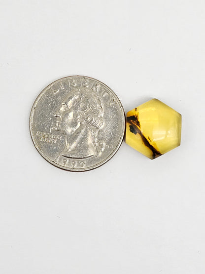 Amber Hexagon Cabochon