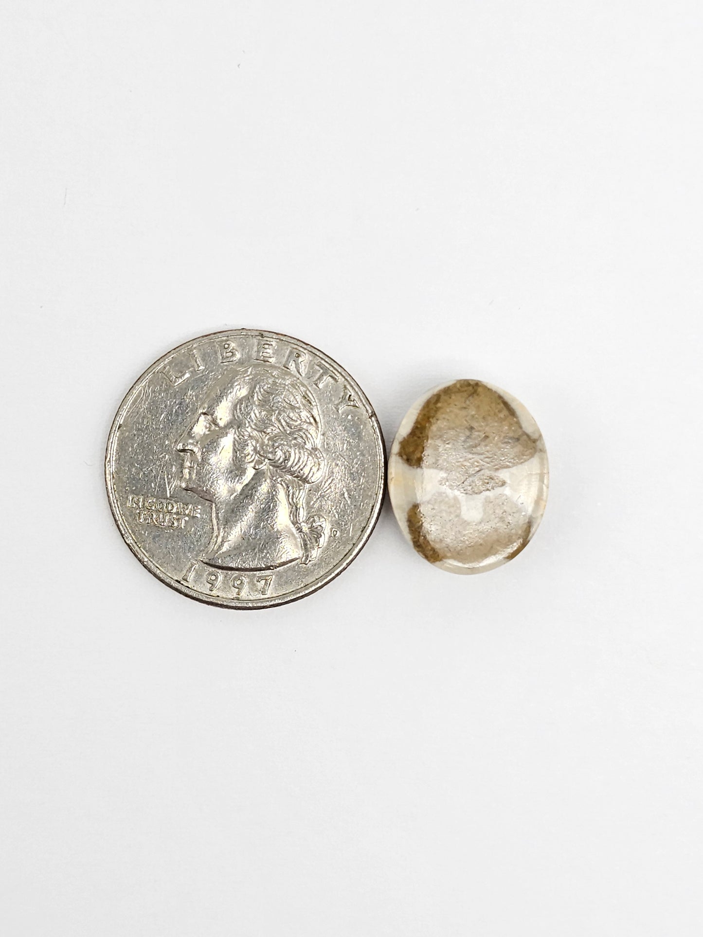 Sea Urchin (Sand Dollar) Fossil Cabochon – Mexican Echinoid