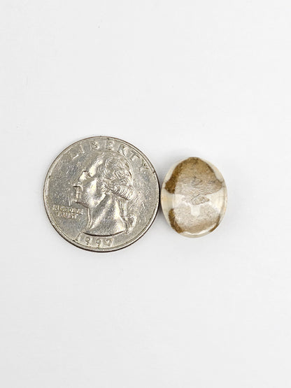 Sea Urchin (Sand Dollar) Fossil Cabochon – Mexican Echinoid
