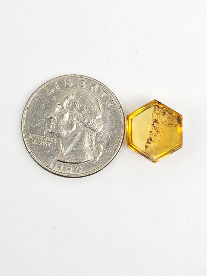 Amber Hexagon Cabochon