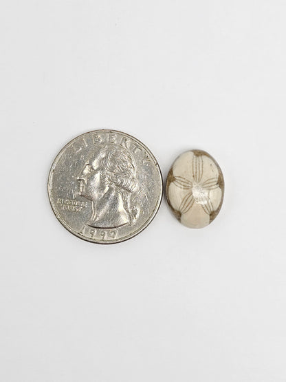 Sea Urchin (Sand Dollar) Fossil Cabochon – Rare Mexican Echinoid, Hand Polished