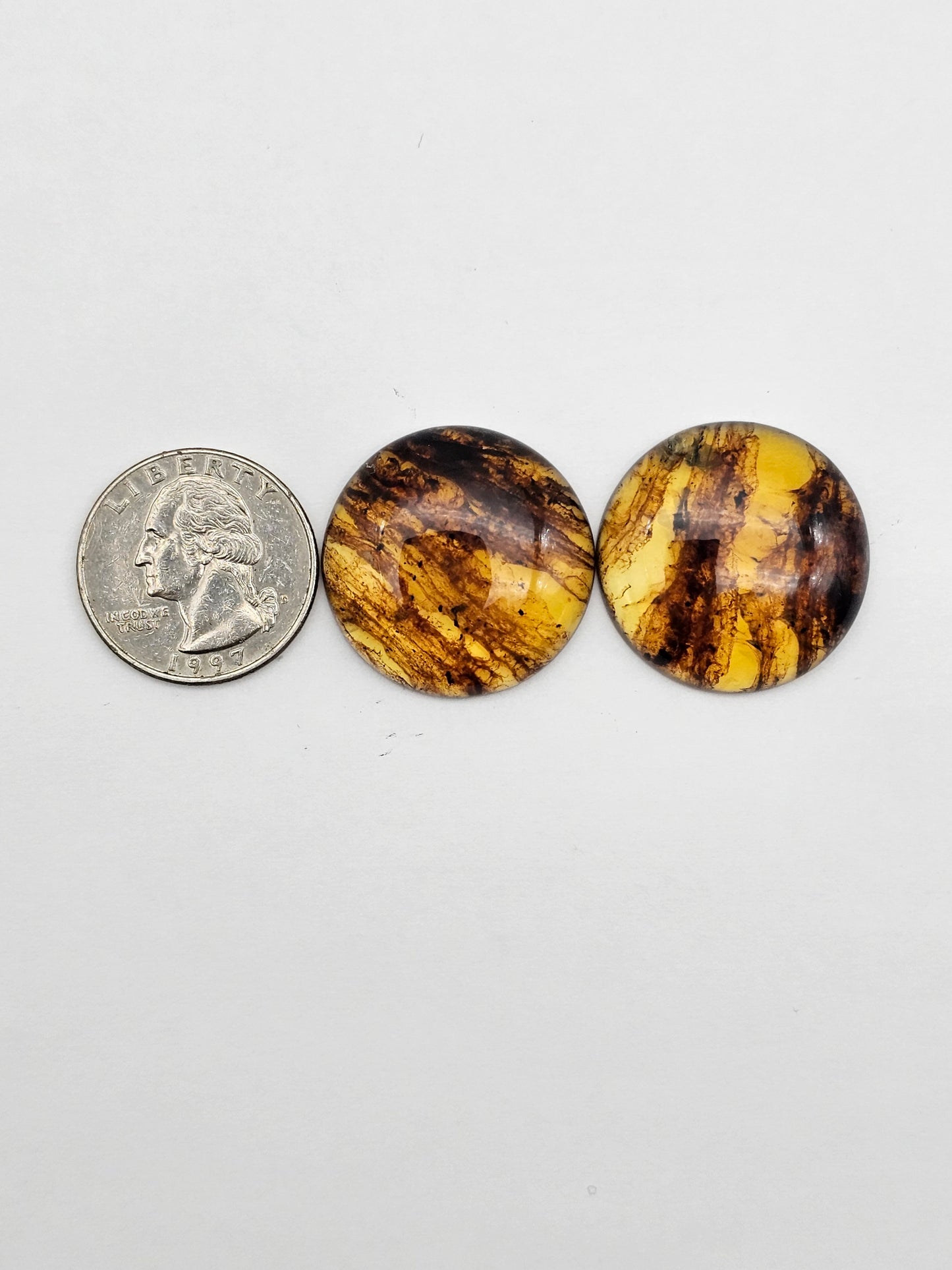 Amber authentic cabochon pair large