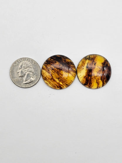 Amber authentic cabochon pair large