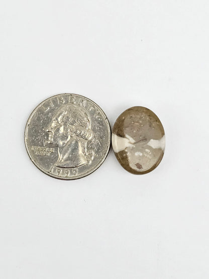 Sea Urchin (Sand Dollar) Fossil Cabochon – Mexican Echinoid