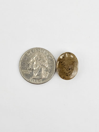 Sea Urchin (Sand Dollar) Fossil Cabochon – Mexican Echinoid