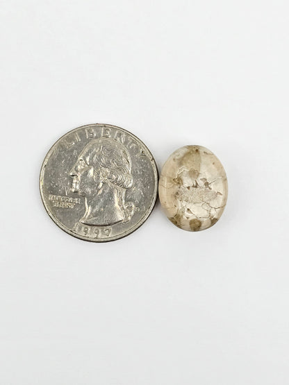 Sea Urchin (Sand Dollar) Fossil Cabochon – Mexican Echinoid