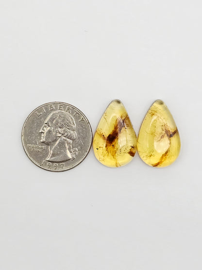 Amber Cabochon