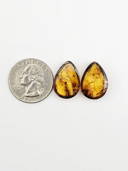 Amber Cabochon