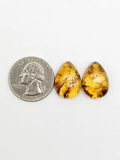 Amber Cabochon