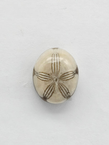 Sea Urchin (Sand Dollar) Fossil Cabochon – Mexican Echinoid