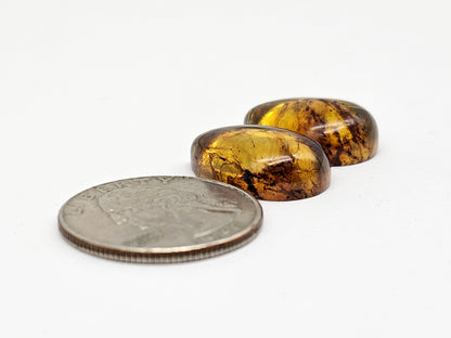 Amber Cabochon