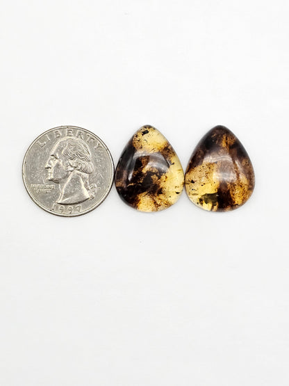 Amber Cabochon