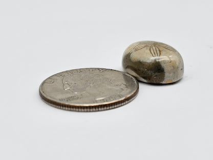 Sea Urchin (Sand Dollar) Fossil Cabochon – Mexican Echinoid