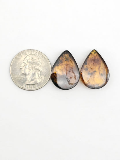 Amber Cabochon