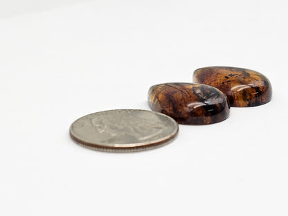 Amber Cabochon