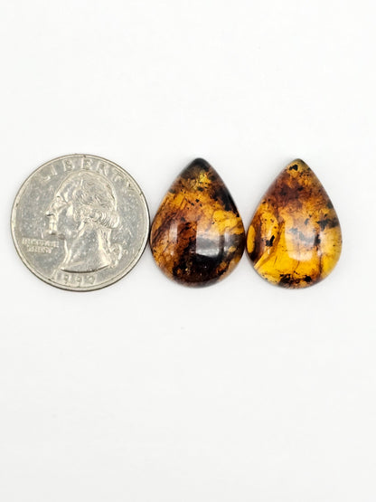 Amber Cabochon