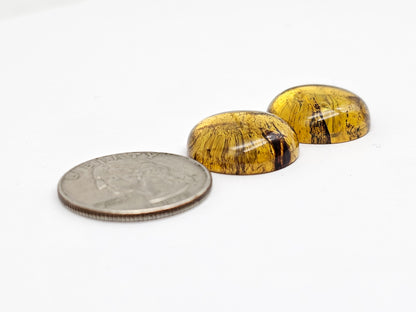 Amber Cabochon