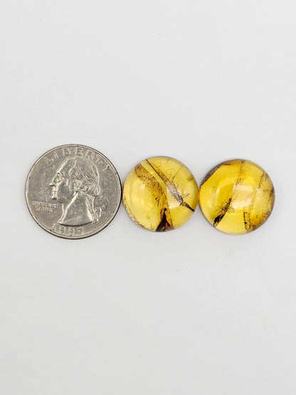 Amber Cabochon