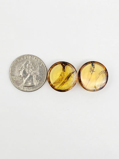 Amber Cabochon
