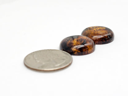 Amber Cabochon