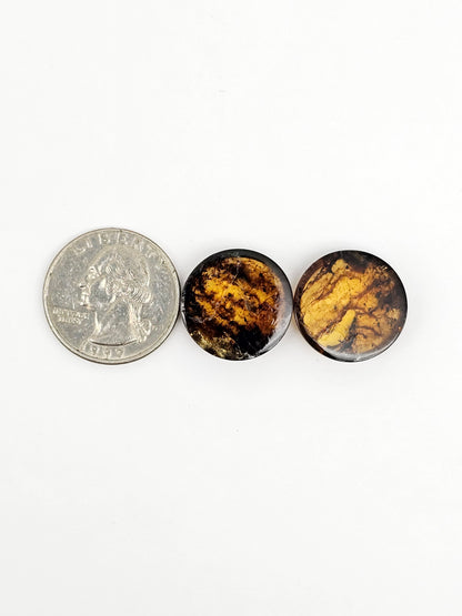 Amber Cabochon