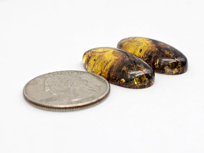 Amber Cabochon
