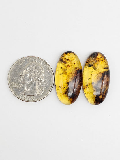 Amber Cabochon