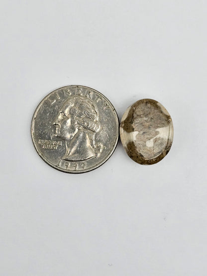 Sea Urchin (Sand Dollar) Fossil Cabochon – Mexican Echinoid