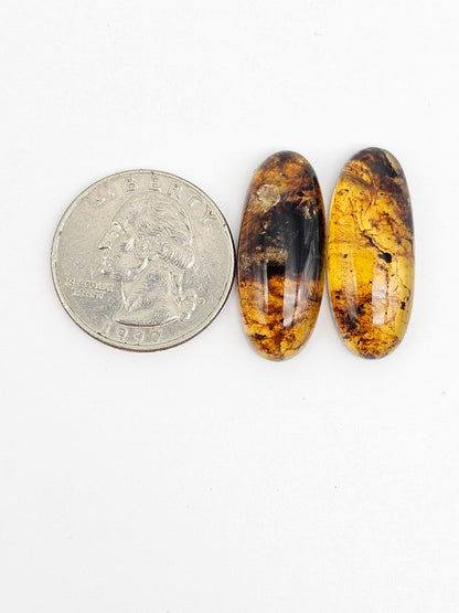 Amber Cabochon