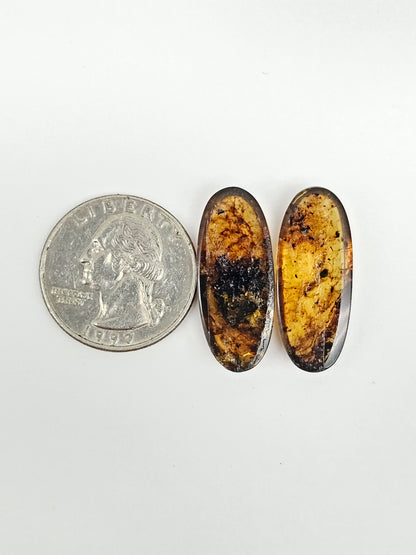 Amber Cabochon