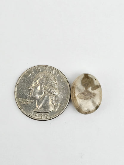 Sea Urchin (Sand Dollar) Fossil Cabochon – Mexican Echinoid